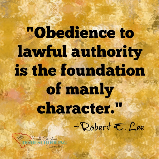 There are three accountability options in SC which you may use to homeschool. We encourage you to read the code of laws for yourself. Option 1 is through your local school district and is covered in Section 59-65-40. Option 2 is through SCAIHS and is covered in Section 59-65- 45. Option 3 is through an independent Homeschool Association and is covered in Section 59-65-47.