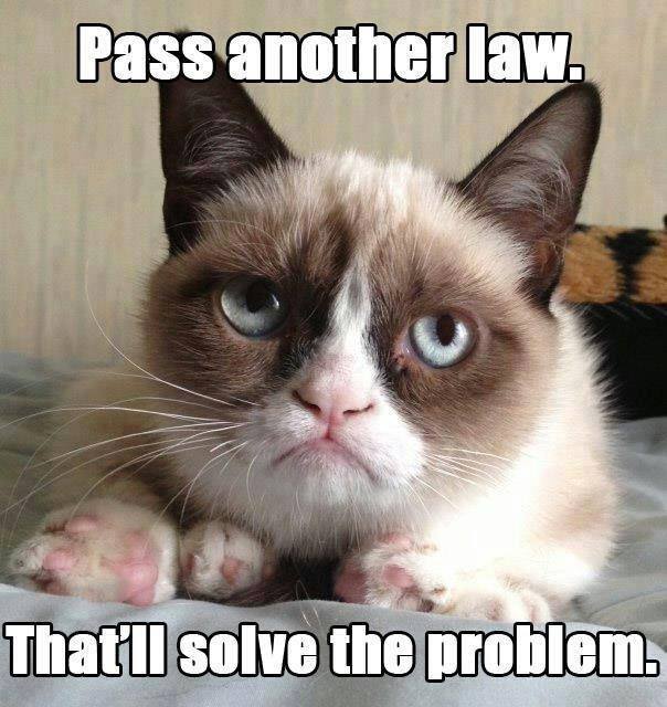 Pass another law. That'll solve the problem.