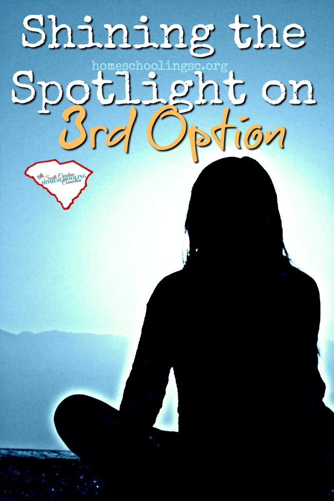 Your 3rd Option Association Directors are proactively working toward more positive interactions with school officials. Let's shine the light on what's been accomplished.