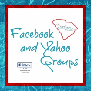 find local homeschool meetups and support on Facebook and Yahoo groups. 