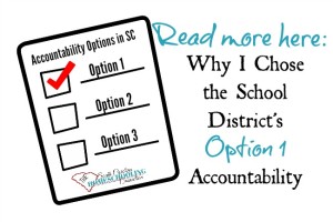 I chose Option 1 Accountability at the local school district. Why would I do that? 