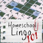 Homeschool Lingo in South Carolina. What are we talking about?