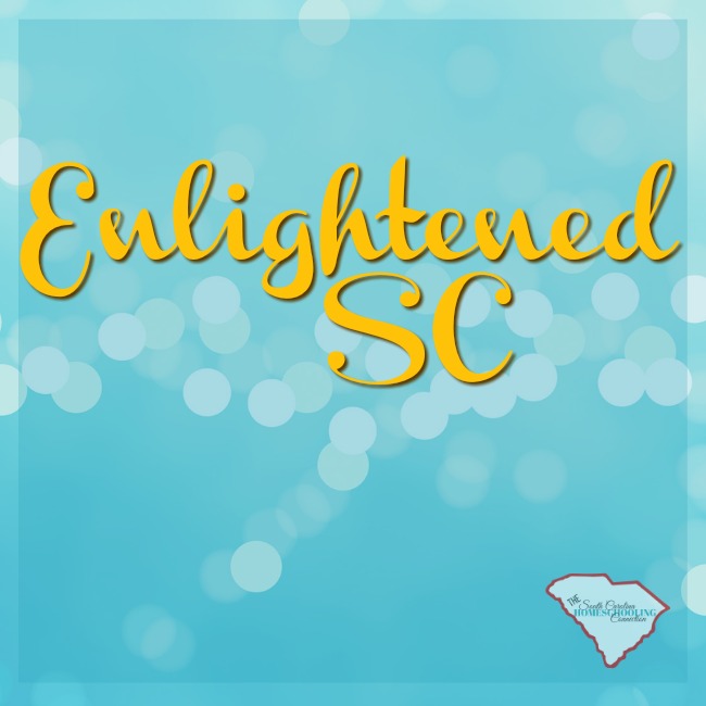 Enlightened SC is a 3rd Option Accountability group in South Carolina. Here's a look at some of the services they offer