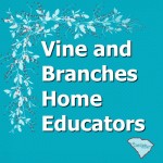 Vine and Branches Home Educators is a 3rd Option homeschool accountability association in SC