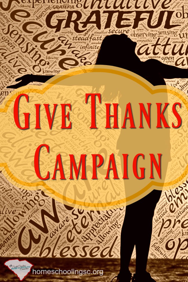 I declare November a month of homeschool appreciation. It's time for us to reflect on all the people that we appreciate for what they do for the homeschool community! Let's use the opportunity to initiate a Give Thanks Campaign.