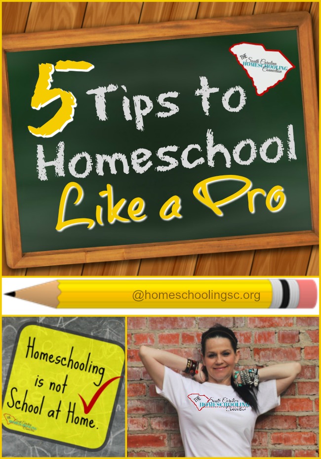 Maybe you are new to homeschooling or maybe you just need some encouragement to keep going. Here’s 5 tips to homeschool like a pro. homeschoolingsc.org