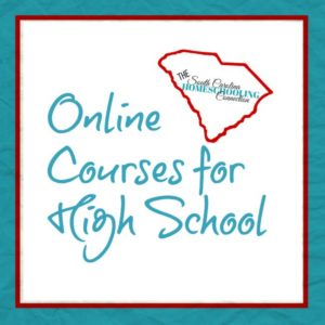 Looking for online courses for your homeschool teen to earn high school credit? This is the list for you!