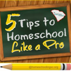 5 tips to homeschool like a pro