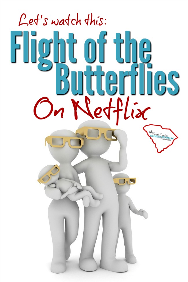 Today, I'm watching Flight of the Butterflies. I have to confess that I watch a lot of Netflix. I love it.