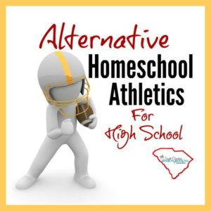 Homeschoolers in South Carolina have many alternatives to equal access. This is a list of all the independent sports programs to consider. 