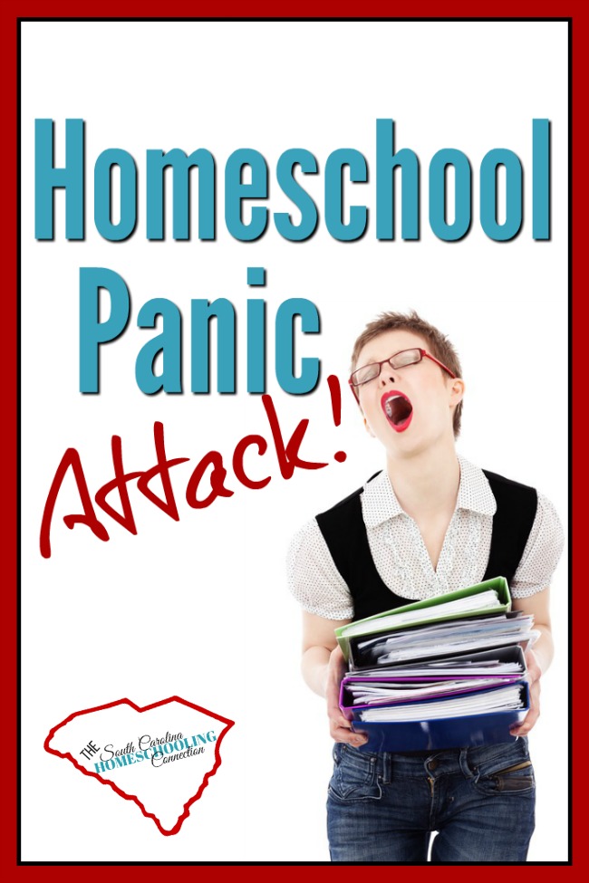 You're having a homeschool panic attack. You're questioning yourself. You realize you have no idea how to start...or what to do next. And the weight of responsibility suddenly feels very heavy. What if you screw up? What if they don't actually learn anything? What if you don't you know what you need to know? You know?