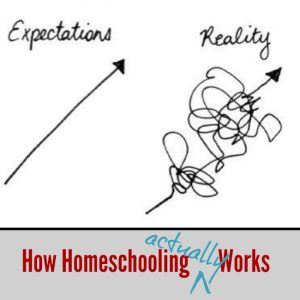 This is how homeschooling actually works