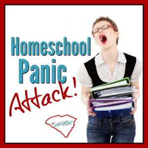 You're having a homeschool panic attack! The weight of responsibility feels heavy. That's completely normal. 