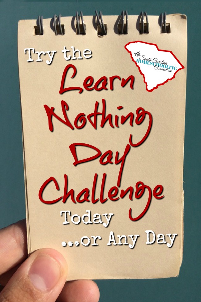 Is it possible to go a day to actually learn nothing? Try the Learn Nothing Day challenge and see for yourself. Rethink how learning actually works. 