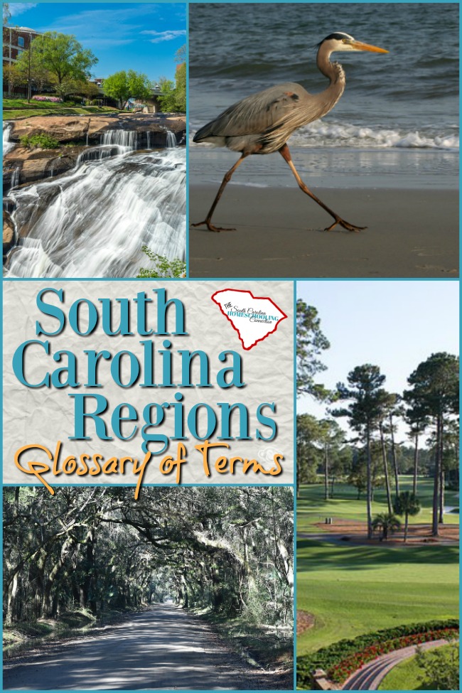 Welcome to South Carolina! Let me be among the first to say, "We're glad y'all are here!" Let's talk about some of the locational terms of South Carolina Regions.