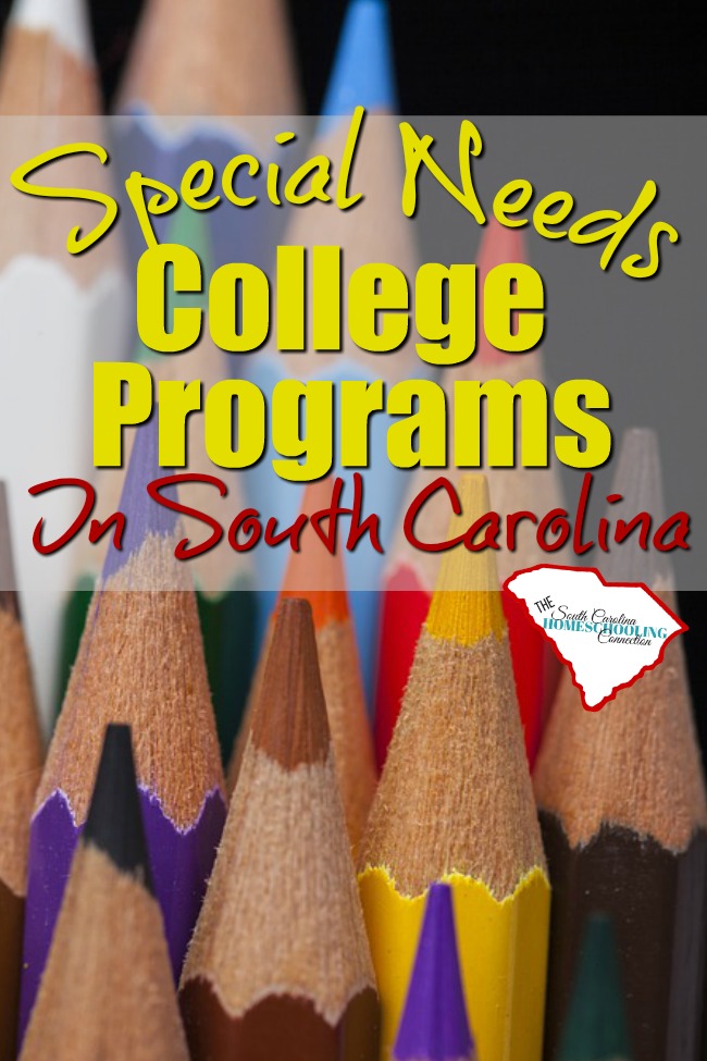 Individuals with intellectual and/or developmental disabilities have some opportunities to experience college life. We have several special needs college programs in South Carolina. Check out these opportunities.