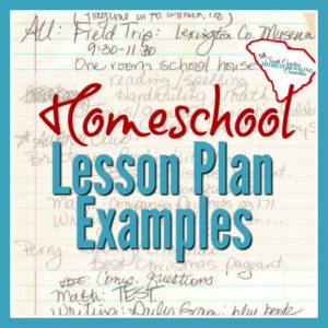 I've collected some lesson plan examples from my own records. My basic content was always there, but the format changed from year to year. If you want to keep track with paper/pen or with an app/computer file. These examples can help you figure out the details to include