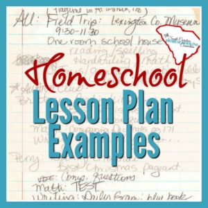 I've collected some lesson plan examples from my own records. My basic content was always there, but the format changed from year to year. If you want to keep track with paper/pen or with an app/computer file. These examples can help you figure out the details to include