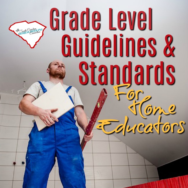 What sort of grade level guidelines and standards should homeschoolers follow? As you take on the responsibility of educating our own kids, some of you are wondering what you should be doing at each grade level.