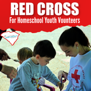 The Red Cross offers a variety of educational opportunities that homeschoolers might utilize. The Red Cross wants to work with you and your homeschool volunteers!