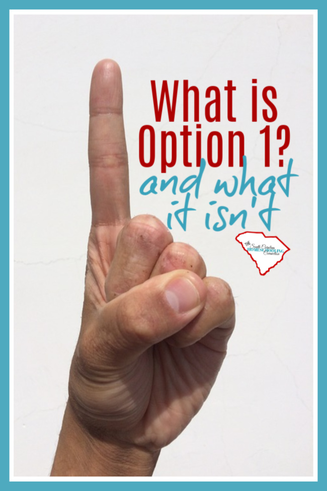 Let's take a minute to clear up some of the misunderstandings about what Option 1 *is*. And what it *isn't*.