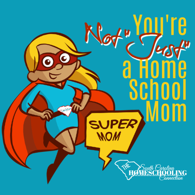 An ordinary life is not the same as a meaningless life.You're not "JUST" a homeschool mom. You're uniquely you. That's really extraordinary!
