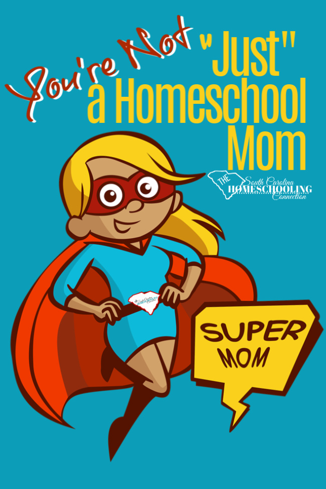 An ordinary life is not the same as a meaningless life.You're not "JUST" a homeschool mom. You're uniquely you. That's really extraordinary!